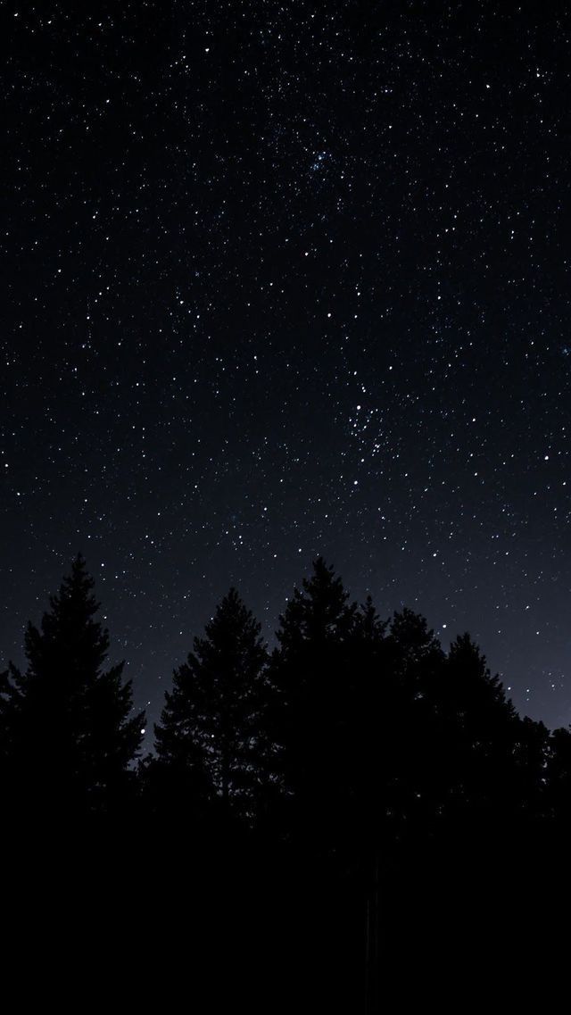 Nocturnos